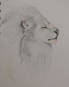 2015-03-10 17.28.09w