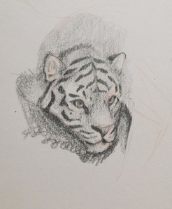 2015-03-10 18.12.32w