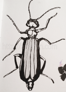 2015-06-01 17.45.00w