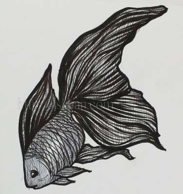 2016-02-08 19.27.10w